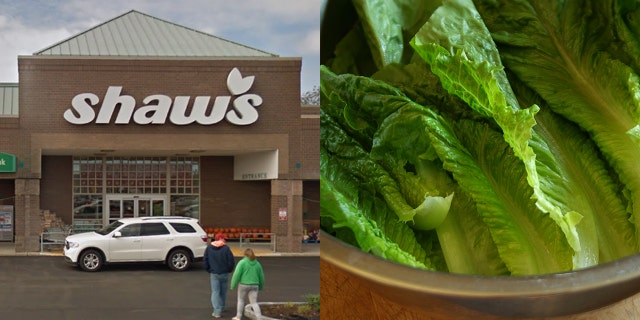 A Maine woman claims she found a dead lizard in her salad made with romaine lettuce she bought at a Shaw's supermarket.