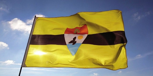 The official flag of Liberland.