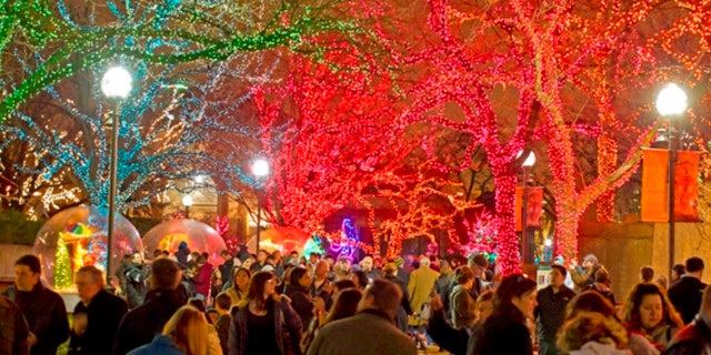 11/25/11 5:18:41 PM -- Lincoln Park Zoo Presents Zoo Lights
. © Todd Rosenberg Photography 2011