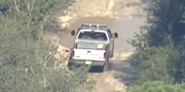 Responders reportedly search for a lion that escaped from its enclosure at the Survival Outreach Sanctuary.