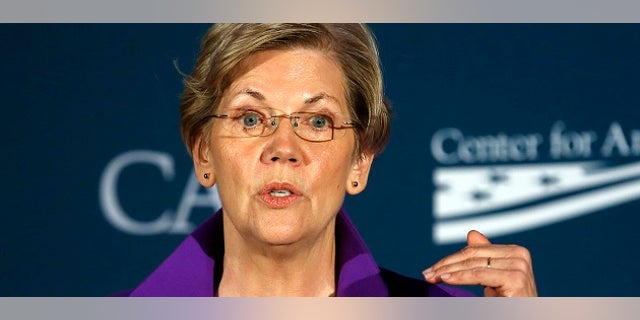 Sen. Elizabeth Warren (D-MA) speaks at the Center for American Progress' 2014 Making Progress Policy Conference in Washington Nov. 19, 2014. (REUTERS/Gary Cameron)