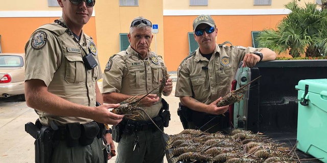 Two Florida men were caught with illegally obtained lobsters in their truck and hotel room.