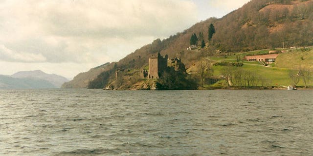 The photo of the "monster" was taken from the woody shoreline of Loch Ness lake in the Highlands of Scotland, shown here with Urquhart Castle in the background.