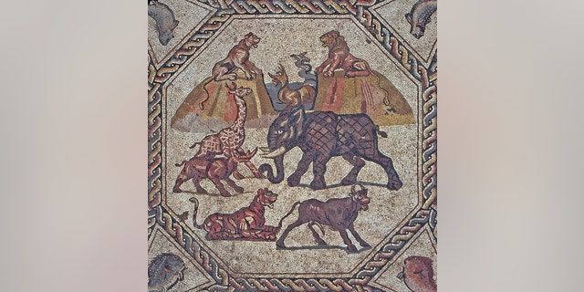 The Lod mosaic that was uncovered in 1996. (Photo: Niki Davidov, Israel Antiquities Authority)