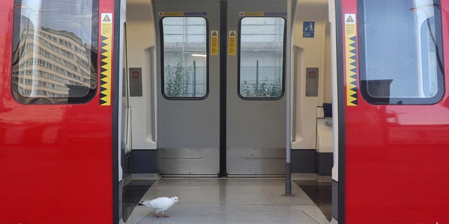 London has seen its murder rate increase recently.