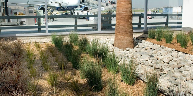 D4EP66 March 12, 2013 - Long Beach, California, U.S. - Long Beach Airport opened its new 35,000 square-foot eco-friendly terminal in December. (Credit Image: © H. Lorren Au Jr/The Orange County Register/ZUMAPRESS.com)