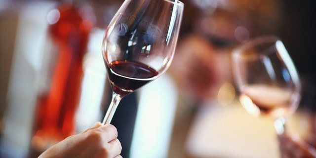 Closeup of unrecognizable adults holding glass of red wine and performing visual examination. Evaluating appearance, color, clarity, residue on the glass. There are wine bottles and other wine samples in background.