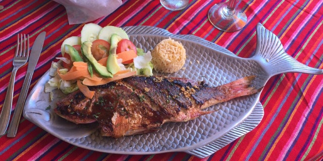 The red snapper is a signature dish at the at El Coral, established in 1975. El Coral is said to be the first restaurant in Cabo San Lucas.