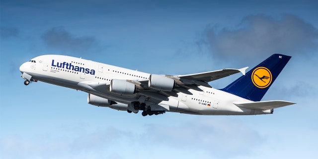 Lufthansa said the dog was injuring himself, prompting crews to remove him from the flight.