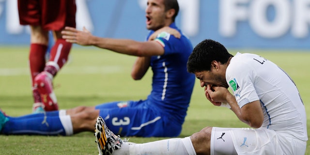 June 24, 2014: Italy's Giorgio Chiellini complains after Uruguay's Luis Suarez ran into his shoulder with his teeth during the group D World Cup soccer match between Italy and Uruguay at the Arena das Dunas in Natal, Brazil.