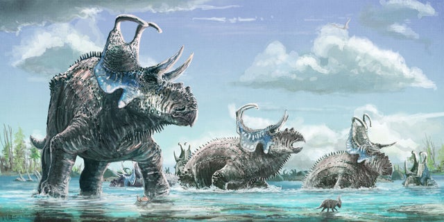 An artist’s reconstruction featuring Machairoceratops cronusi, a new species of horned dinosaur from the Late Cretaceous. (Mark Witton)