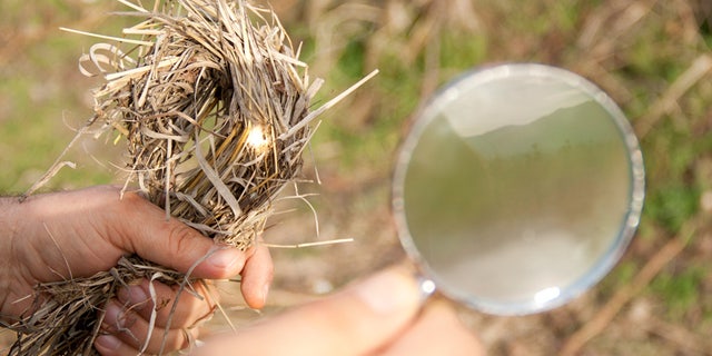 magnifying glass istock