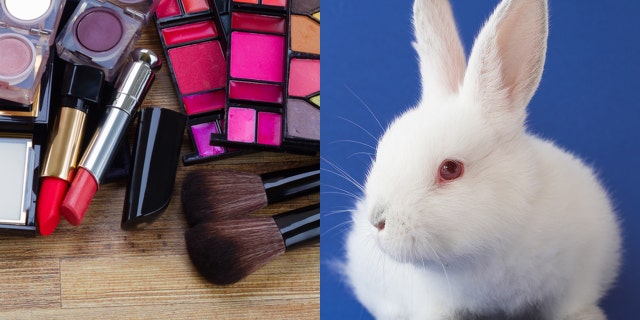 The Golden State could officially be the first to ban the testing of cosmetics on animals like rabbits.
