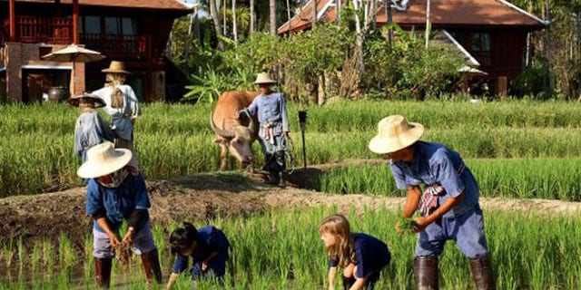 The kids' club at 2013 Gold List property, Chiang Mai's Mandarin Oriental Dhara Dhevi ups its game (and puts other clubs to shame) with activities like rice planting, water buffalo riding, and muay thai (kickboxing).