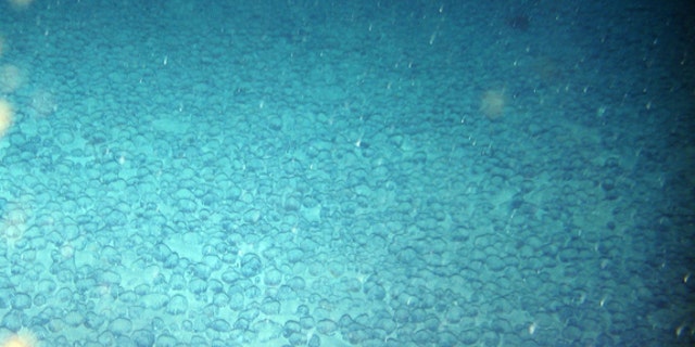 Manganese nodules found in the tropical Atlantic Ocean.