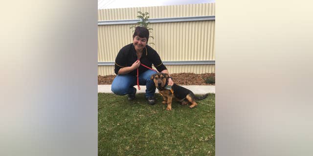 Stray Dog Runs Half Marathon Gets A Medal Fox News