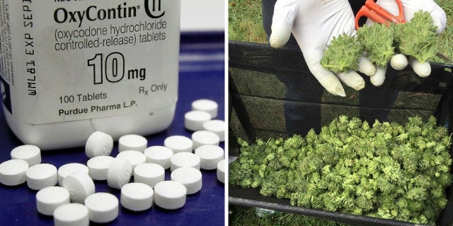 A report found there was an increase in fatal accidents involving marijuana and opioids in the past decade.