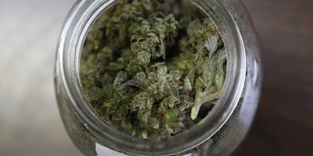 A jar containing a strain of marijuana nicknamed "Killer D" is seen at a medical marijuana facility.