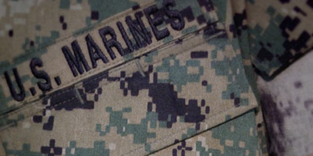 Shown here is the Marine Corps' combat uniform.