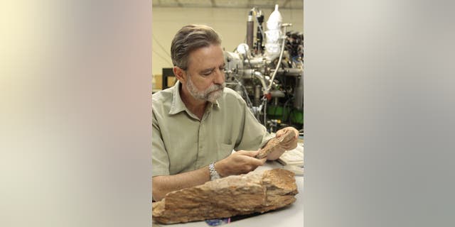 UCLA's Mark Harrison was one of the researchers whose study concluded that Earth was 300 million years older than previously thought. (Reed Hutchinson/UCLA)