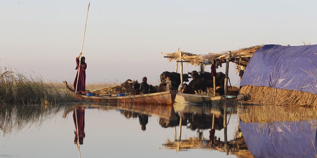 An Iraqi Marsh Arab woman paddles her boat at the Chebayesh marsh in Nassiriya, 300 km (185 miles) southeast of Baghdad.