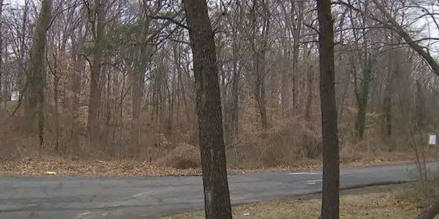 Damaris Alexandra Reyes Rivas' body was found in a park in Springfield, Va.