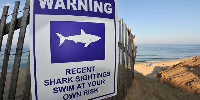 A sign warns visitors to Long Nook Beach of recent shark sightings, Wednesday, Aug. 15, 2018 in Truro, Mass.