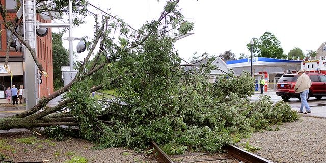 A maple tree was uprooted and toppled onto the railroad tracks on Main Street after a storm passed the area on Saturday in Webster, Mass.