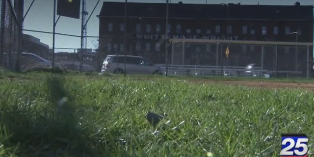 Mass Ball Field