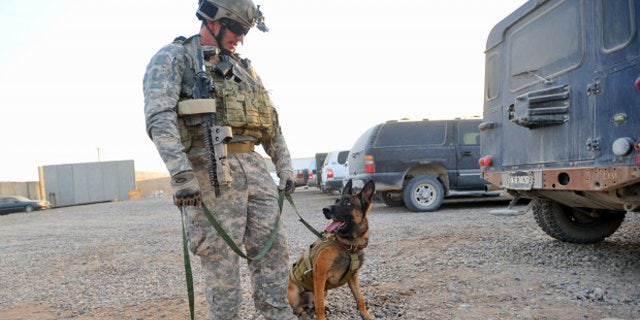 Retired Army Ranger Bessler and his multipurpose canine, Mike, were inseparable in Iraq.