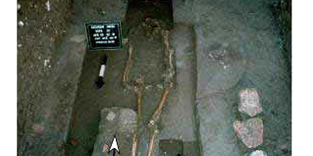The torso and pelvis of this body, found in the floor of one of the homes Lucero excavated, had been removed. A matate and mano, used for grinding corn, were found near the right knee. A deer antler and pink quartzite stone were buried beneath the chest area.