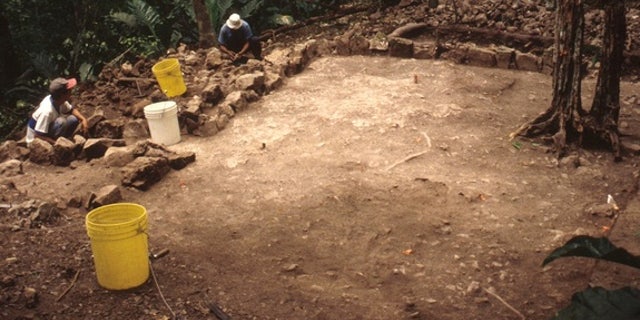 Around 500 years ago, in this Maya temple at Zacpetén in Guatemala, a person was cut open using an obsidian arrowhead, and their blood was spilled in a ceremony that may have used a person’s "life force" to feed the gods.