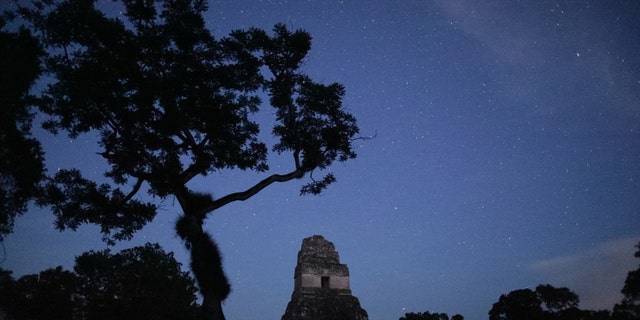 Experts have shed new light on the previously unknown scale of the Maya civilization