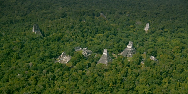 Aerial view of the ancient Maya city of Tikal in Guatemala. (National Geographic)