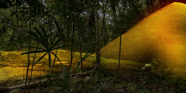 A previously unknown pyramid was spotted in the ancient Maya City of Tikal