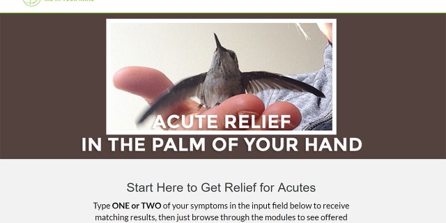 Dr. Gray's website prompts users to describe symptoms and then choose from a list of ailments before asking for payment details and sending an MP3 via email.