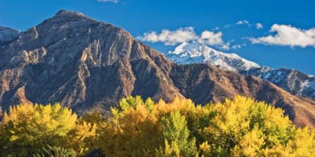 Cottonwood trees with bright yellow autumn colors in Sugarhouse Park in Salt Lake City Utah. Mount OLympus looms in the distance.