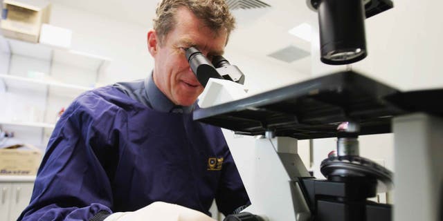BRISBANE, QSL - AUGUST 12: Professor Ian Frazer is pictured at work in a bio medical laboratory at the PA Hospital in Brisbane, Australia on August 12, 2005. Professor Frazer has developed a vaccine to prevent cervical cancer which in clinical trials showed the vaccine to be 95 to 100 per cent effective. The vaccine is expected to be commercially available in 2006. Cervical cancer is one of the few human cancers that is known to be directly caused by a viral infection, with more than 500,000 cases being diagnosed annually killing an estimated 275,000 women around the world every year. (Photo by Jonathan Wood/Getty Images) *** Local Caption *** Ian Frazer