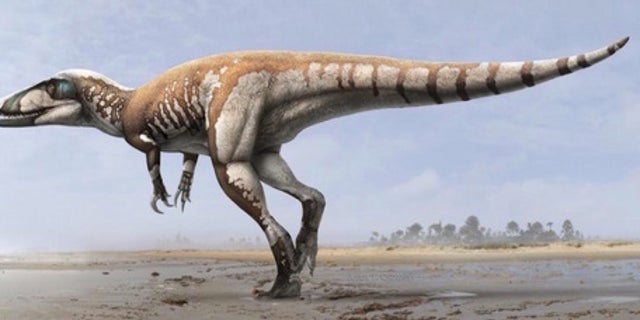 An illustration of the "lightning claw" megaraptorid.