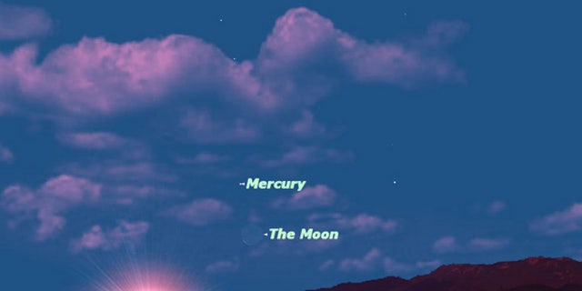 At sunrise on Thursday August 16, Mercury and Venus are both as far from the sun in the sky as they can get. The crescent moon will help you to find Mercury.