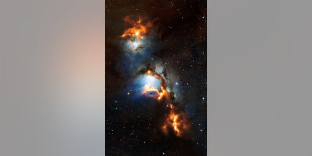 This image of the region surrounding the reflection nebula Messier 78, just to the north of Orion’s belt, shows clouds of cosmic dust threaded through the nebula like a string of pearls. The submillimetre-wavelength observations, made with the Atacama Pathfinder Experiment (APEX) telescope and shown here in orange, use the heat glow of interstellar dust grains to show astronomers where new stars are being formed. They are overlaid on a view of the region in visible light.