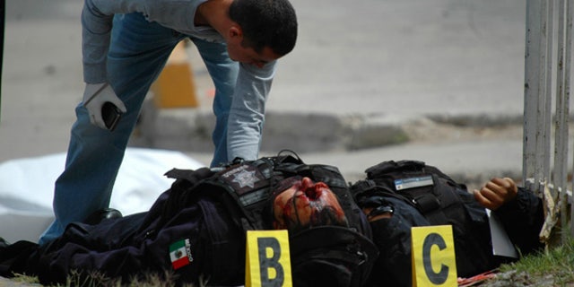 April 23: Police forensics expert examines the bodies of federal policemen that were killed after being ambushed in Ciudad Juarez.
