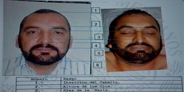 A slide that shows images of suspected drug lord Enrique Plancarte, when he was alive and when he was dead, points out similarities in facial features, during a press conference in Mexico City, Tuesday, April 1, 2014. Mexican officials said Tuesday that Plancarte, one of the two remaining top leaders of the Knights Templar drug cartel, was killed after he refused to surrender and opened fire on marines. A top federal police official, said Plancarte died Monday after marines spotted him walking down a street in the central state of Queretaro. (AP Photo/Eduardo Verdugo)