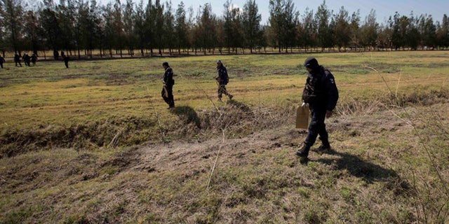 Police comb a field for evidence in the Rancho del Sol, a ranch in the municipality of Ecuandureo, Mexico, Saturday, May 23, 2015. The latest in a series of clashes between Mexican authorities and a powerful, fast-growing drug cartel turned into the deadliest confrontation in recent memory, with 42 suspected gang gunmen and one Federal Police officer killed on Friday during a three-hour firefight at this remote western ranch. (AP Photo/Eduardo Verdugo)