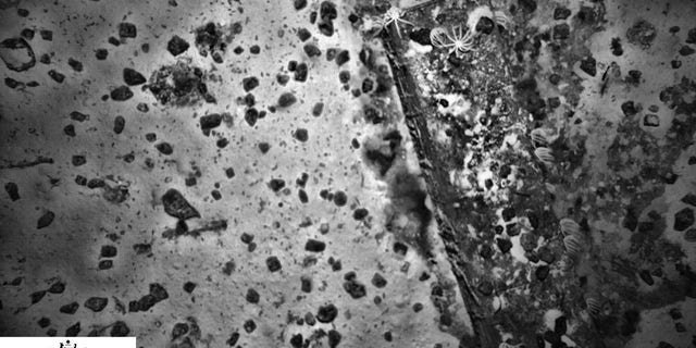 Researchers spotted one vessel's iron water tank and the ship's cargo of coal at one of the shipwreck sites (Australian Transport Safety Bureau/Fugro)