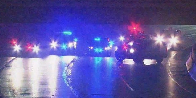 A toddler was the only survivor of a freeway crash in suburban Detroit early Monday that killed four people, police said.