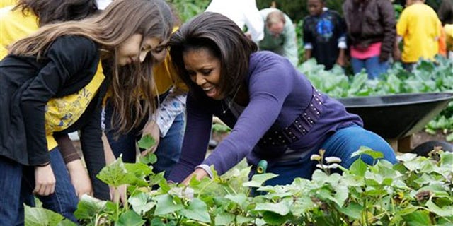 Michelle Obama in the White House kitchen garden