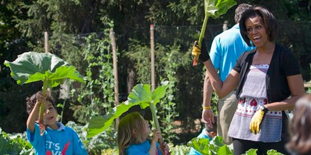 June 3, 2011: First lady Michelle Obama pretends that a rhubarb plant is an umbrella with a group of children during an event at the White House garden in Washington.