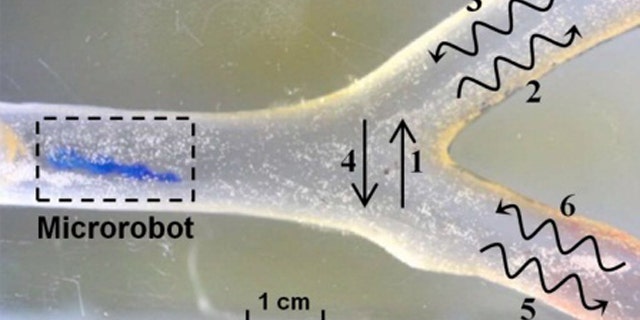 Researchers in South Korea demonstrated a microrobot moving through a structure intended to simulate the environment of a blood vessel. The microbot can move up and down (1 and 2), and wiggle through the simulated vessel in a helical motion (2, 3, 5, 6).