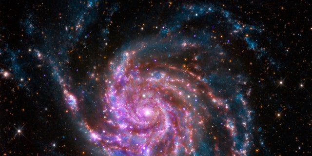File photo: The spiral galaxy M101 is pictured in this undated handout photo from NASA's Chandra X-Ray Observatory. M101 is a spiral galaxy like our Milky Way, but about 70 percent bigger. It is located about 21 million light years from Earth. (REUTERS/NASA/Handout via Reuters)